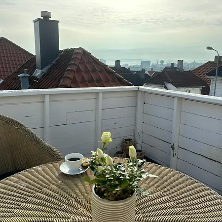 Romslig I Sentrum Med Egen Takterrasse *