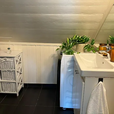 Romslig I Sentrum Med Egen Takterrasse Apartman