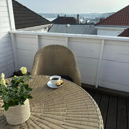 Romslig I Sentrum Med Egen Takterrasse アパート