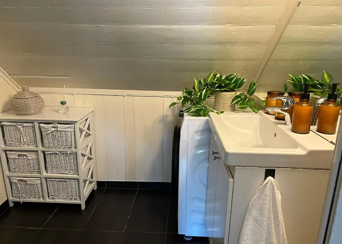 Romslig I Sentrum Med Egen Takterrasse Apartament