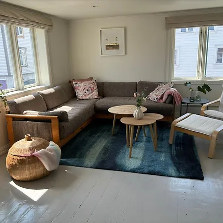 Romslig I Sentrum Med Egen Takterrasse Apartment